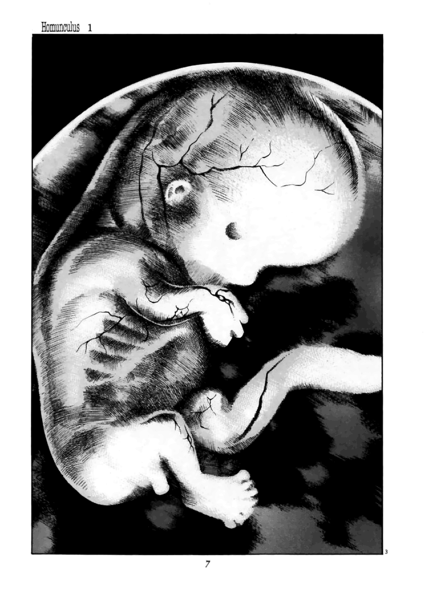 Homunculus (Araña Fansub)